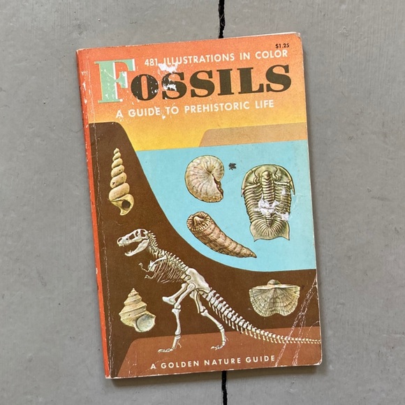 Fossils A Guide to Prehistoric Life Golden Nature Earth Rocks Dinosaurs Science - Picture 1 of 10